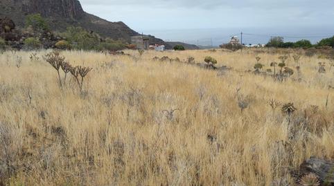 Photo 5 of Land for sale in  Polígono 2 Parcela 125 Cdo Monte. Santiago del Te, Tamaimo - Arguayo, Santa Cruz de Tenerife