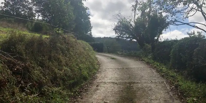 Terreno rustico in vendita a Camino DE LOS CIERROS-CALDONES, imagen 21