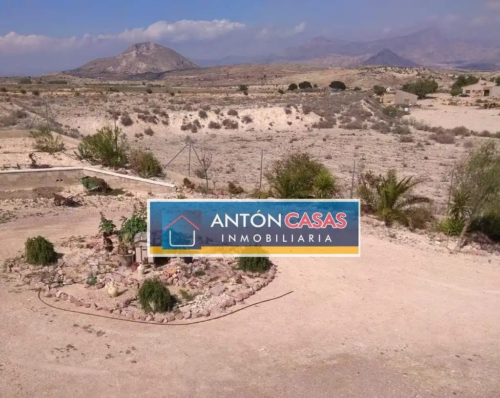 Finca rústica en venda a Novelda