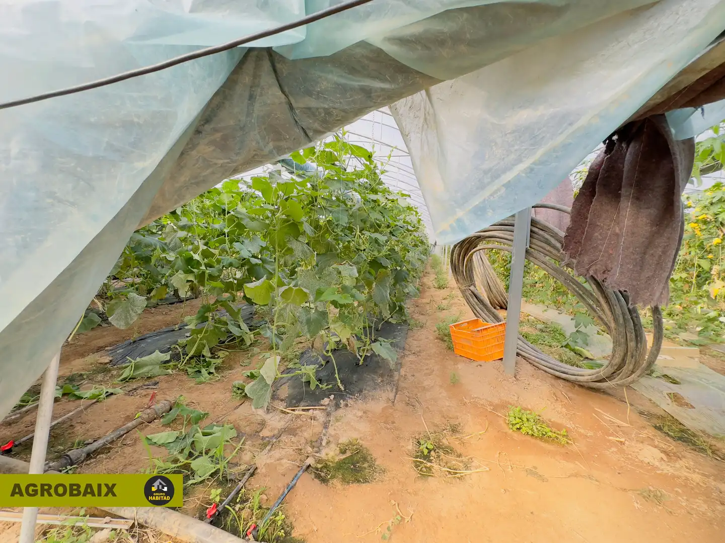 Terreno rustico in vendita a Vilamarina, imagen 74