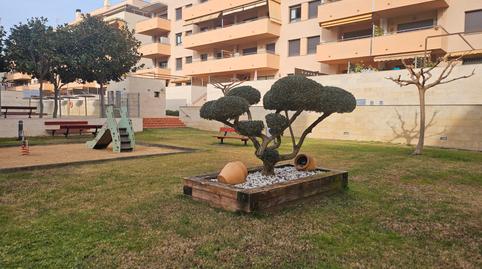Foto 4 de Planta baja en venta en Avinguda de Fenals, 42, Fenals, Lloret de Mar