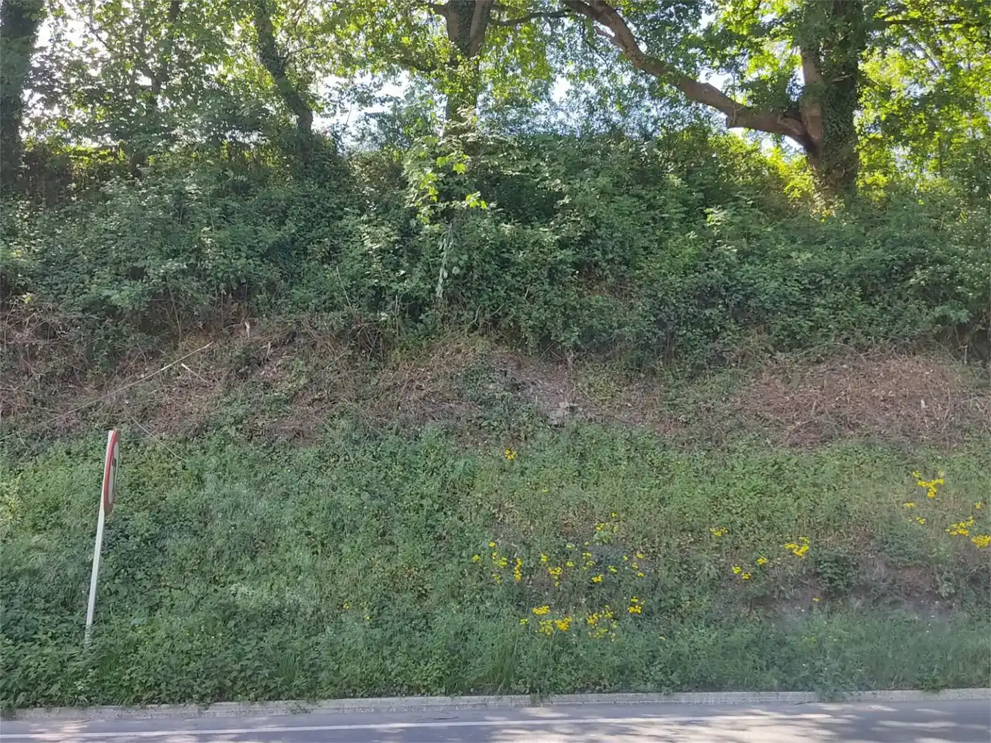 Grundstücke zum Verkauf in Idiazabal