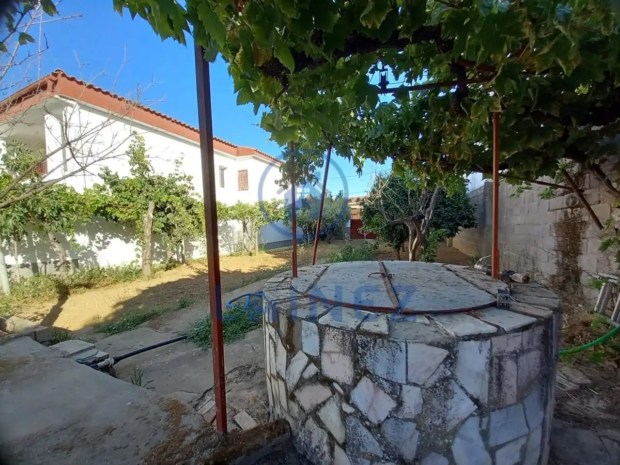 Jardí de Casa o xalet en venda en Puebla de Sancho Pérez amb Jardí privat, Terrassa i Traster