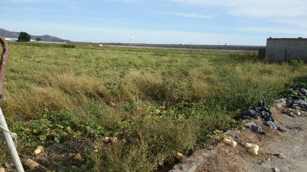 Rural land for sale in Motril  ciudad, imagen 2
