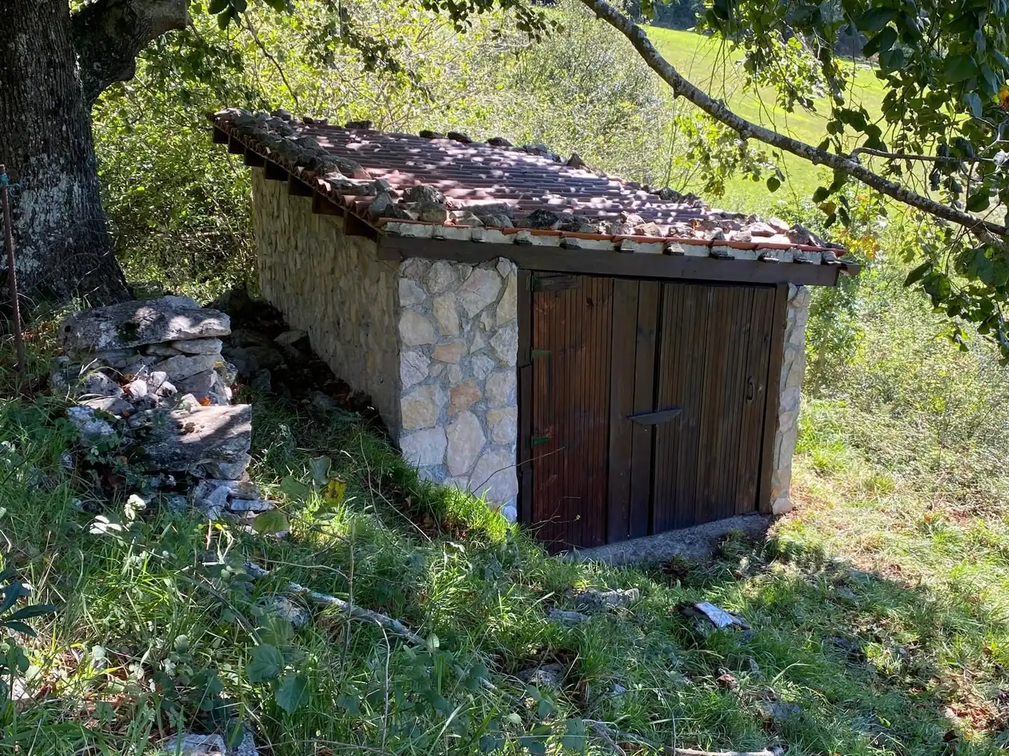 Exterior view of Land for sale in Cangas de Onís