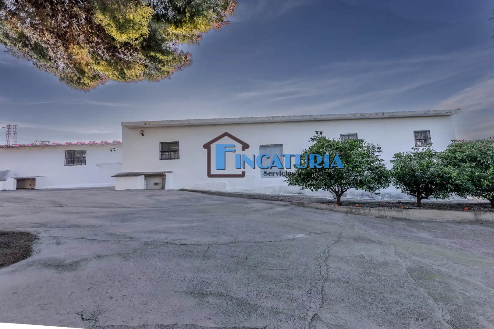 Vista exterior de Finca rústica en venta en Manises con Jardín privado y Terraza