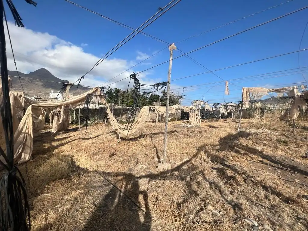 Terreny rústic en venda a La Aldea de San Nicolás, imagen 12