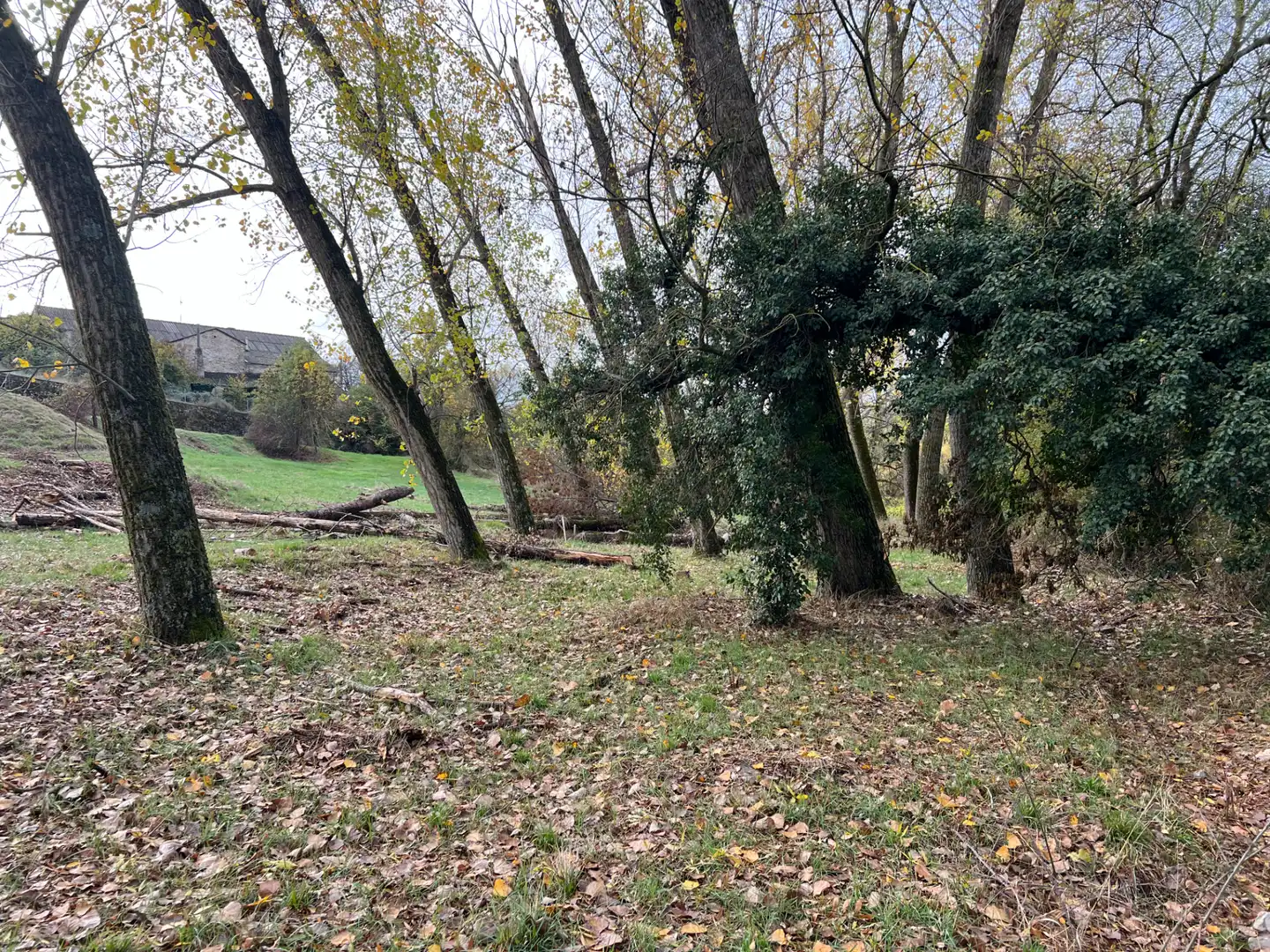 Terreni e lotti in vendita a Poblaciones norte, imagen 18