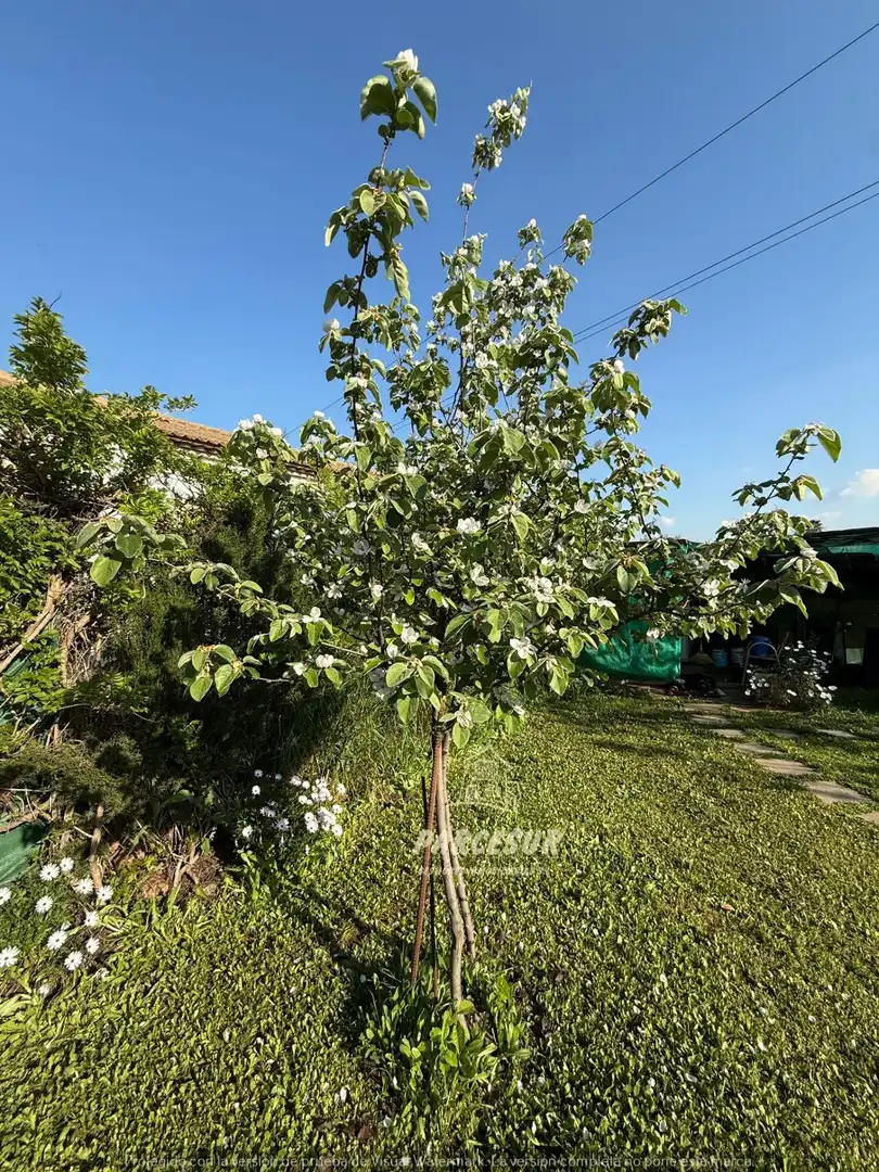 Garden of Houses for sale in Córdoba  with Private garden