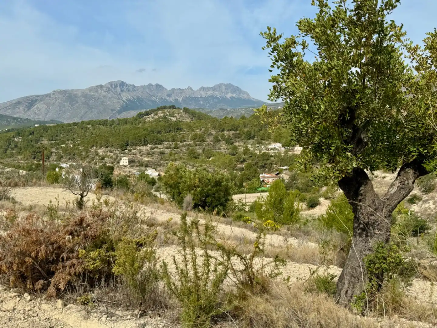 Terrenos y solares en venta en Benissa pueblo, imagen 5