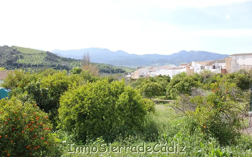 Residencial en venda a Andalucia, Torre Alháquime