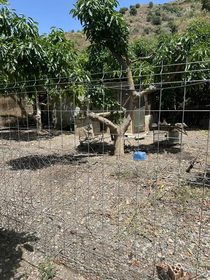 Jardí de Finca rústica en venda en Benamargosa amb Aire condicionat, Jardí privat i Terrassa