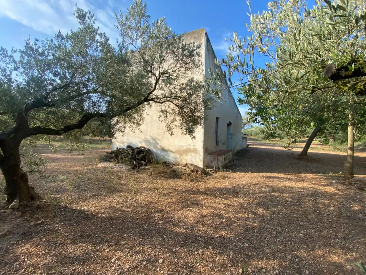 Casa rústica con piscina en venta en Ulldecona, imagen 22