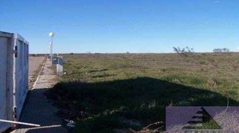 Photo 4 of Residential for sale in Sector 7, 17, Casarrubios del Monte pueblo, Toledo