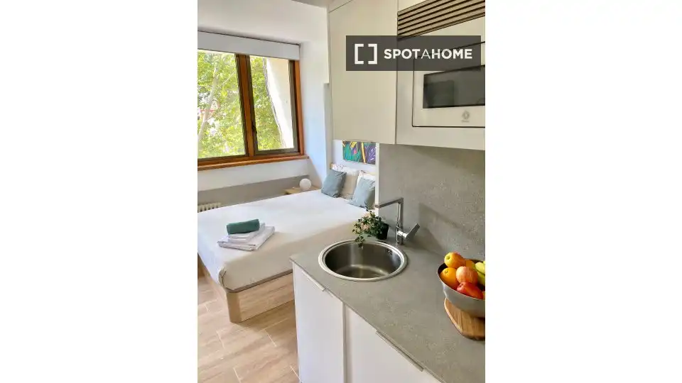 Piso en alquiler en Moncloa - Aravaca, imagen 8