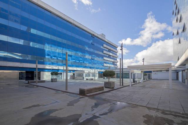 Oficina en Venta en Avenida Pino Estrobo en Palmete