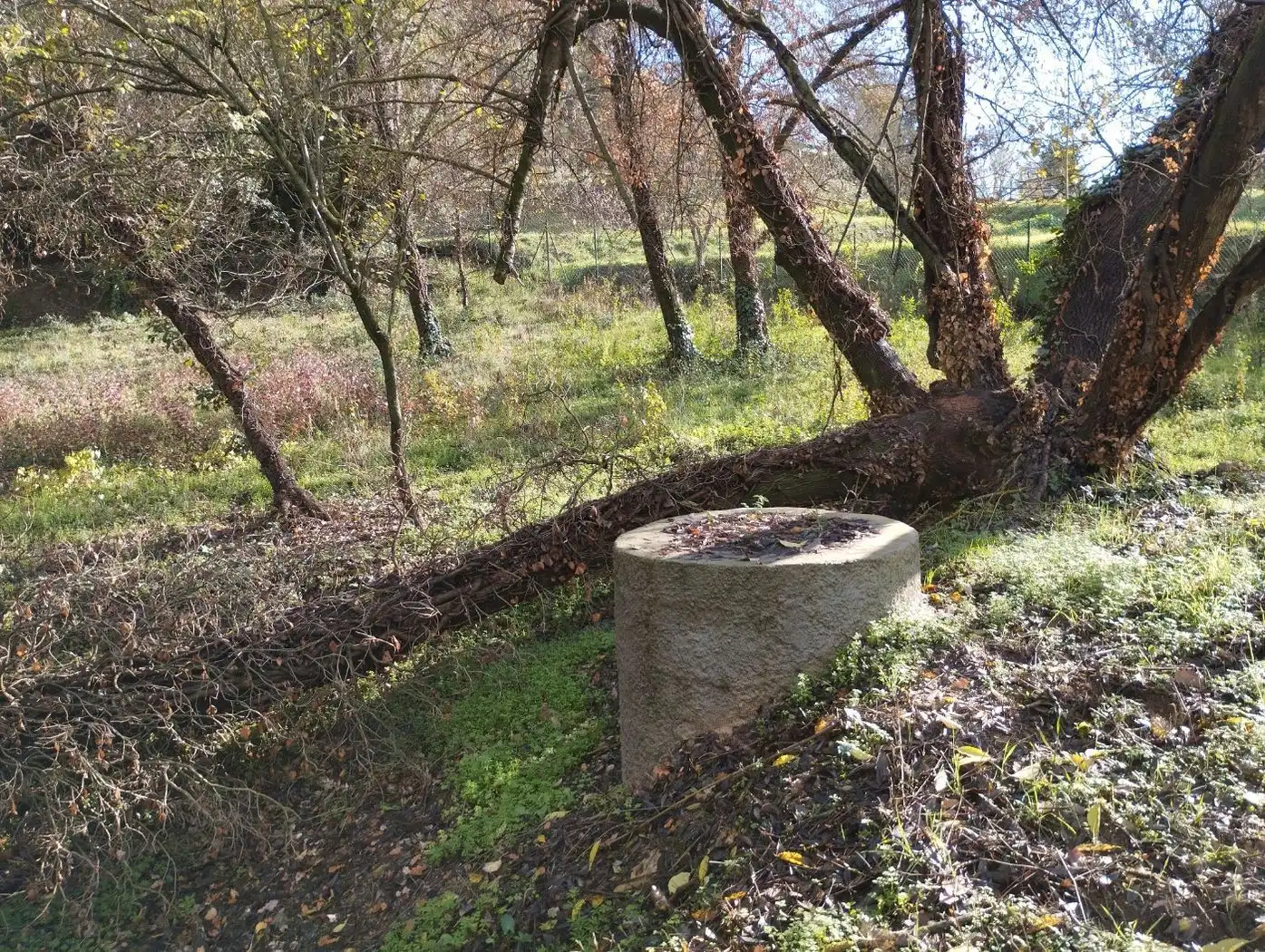 Jardí de Finca rústica en venda en Quart
