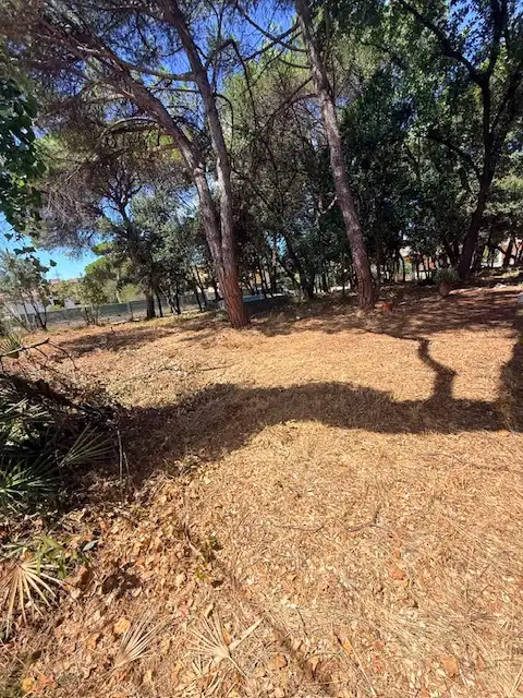 Residential land for sale in Carrer Tulipa, imagen 3