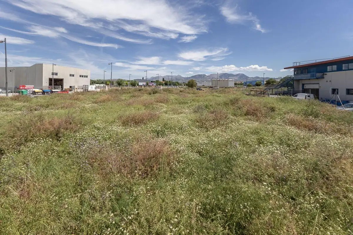 Lands and plots for sale in Calle Córdoba 69, imagen 9