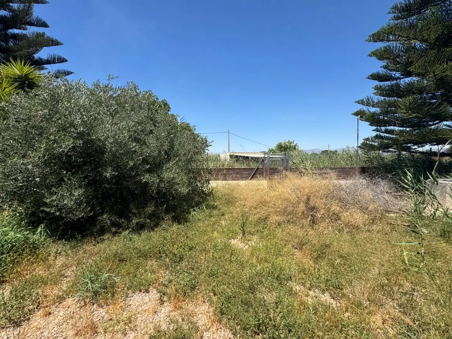 Residential for sale in Dolores