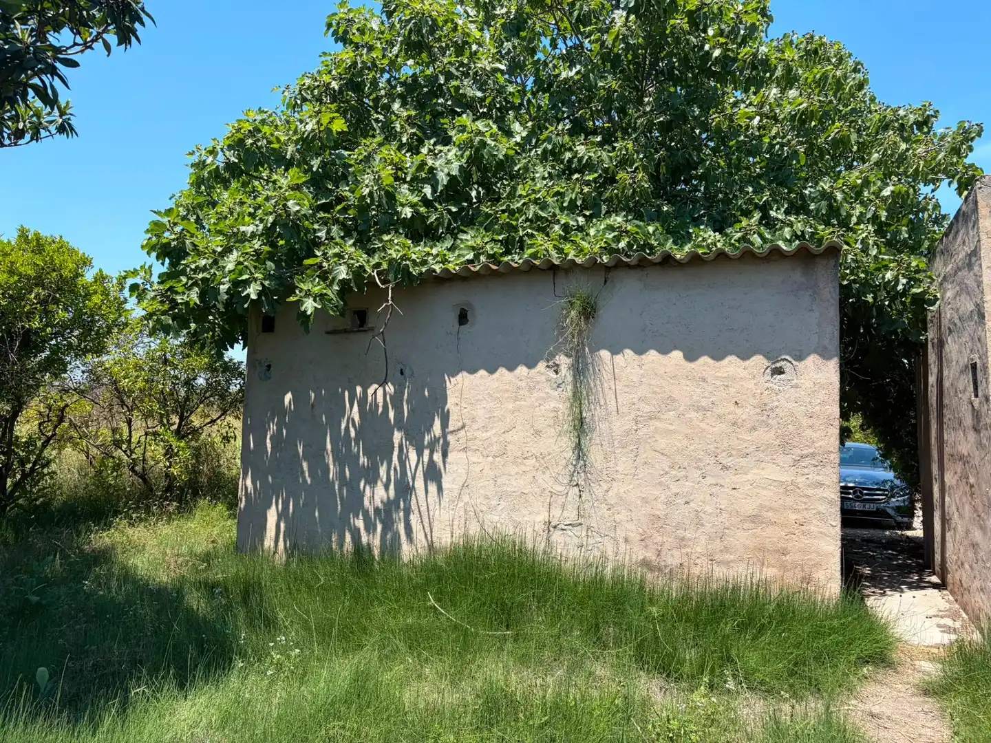 Terrain rustique à vendre à Oliva pueblo, imagen 2
