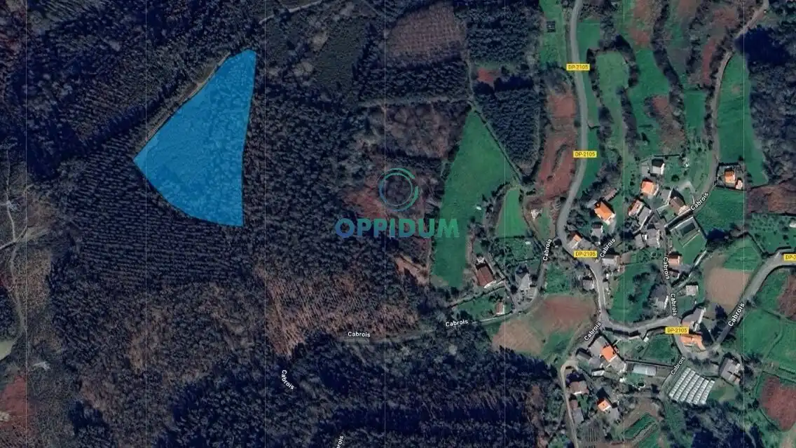 Terreny rústic en venda a Lugar Cabrois
