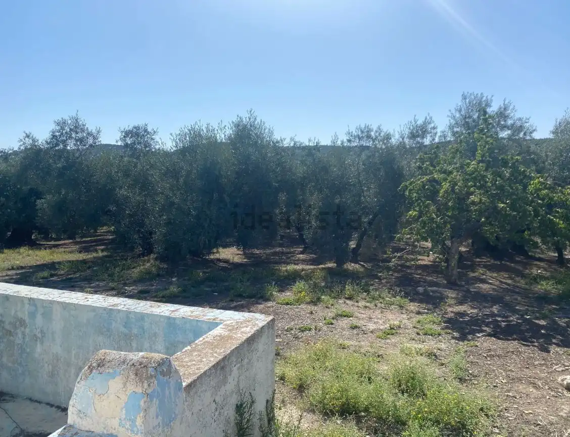 Residential land for sale in Poleares, imagen 7