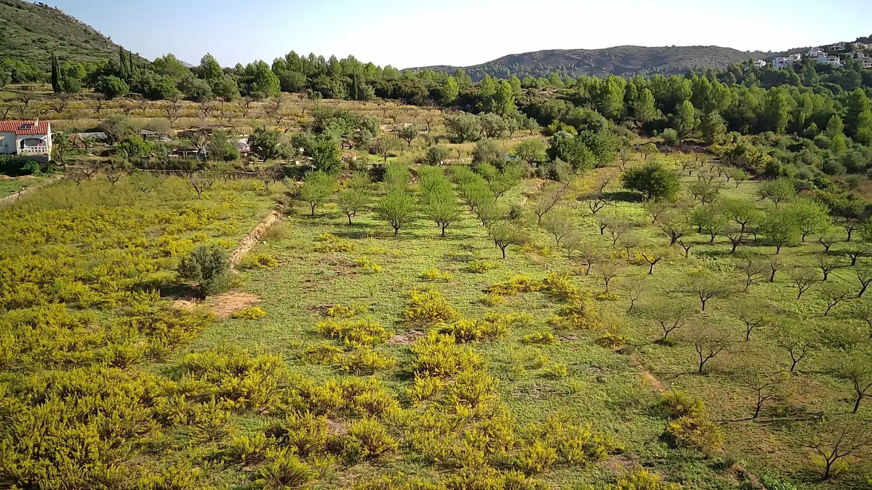 Terrenys i solars en venda a Murla, imagen 3