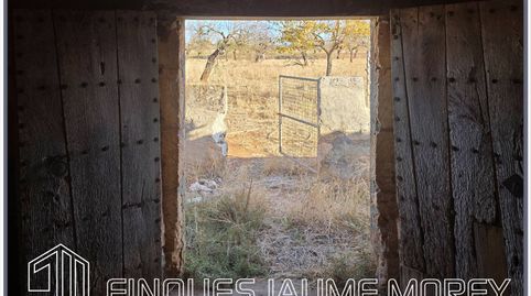 Foto 4 de Finca rústica en venta en Calle Cegall, 1, Búger, Illes Balears