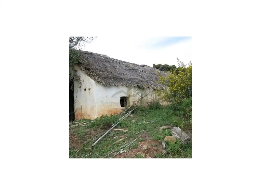 Vista exterior de Finca rústica en venta en Estepona