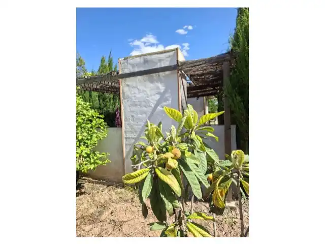 Garten von Residential zum Verkauf in Cheste