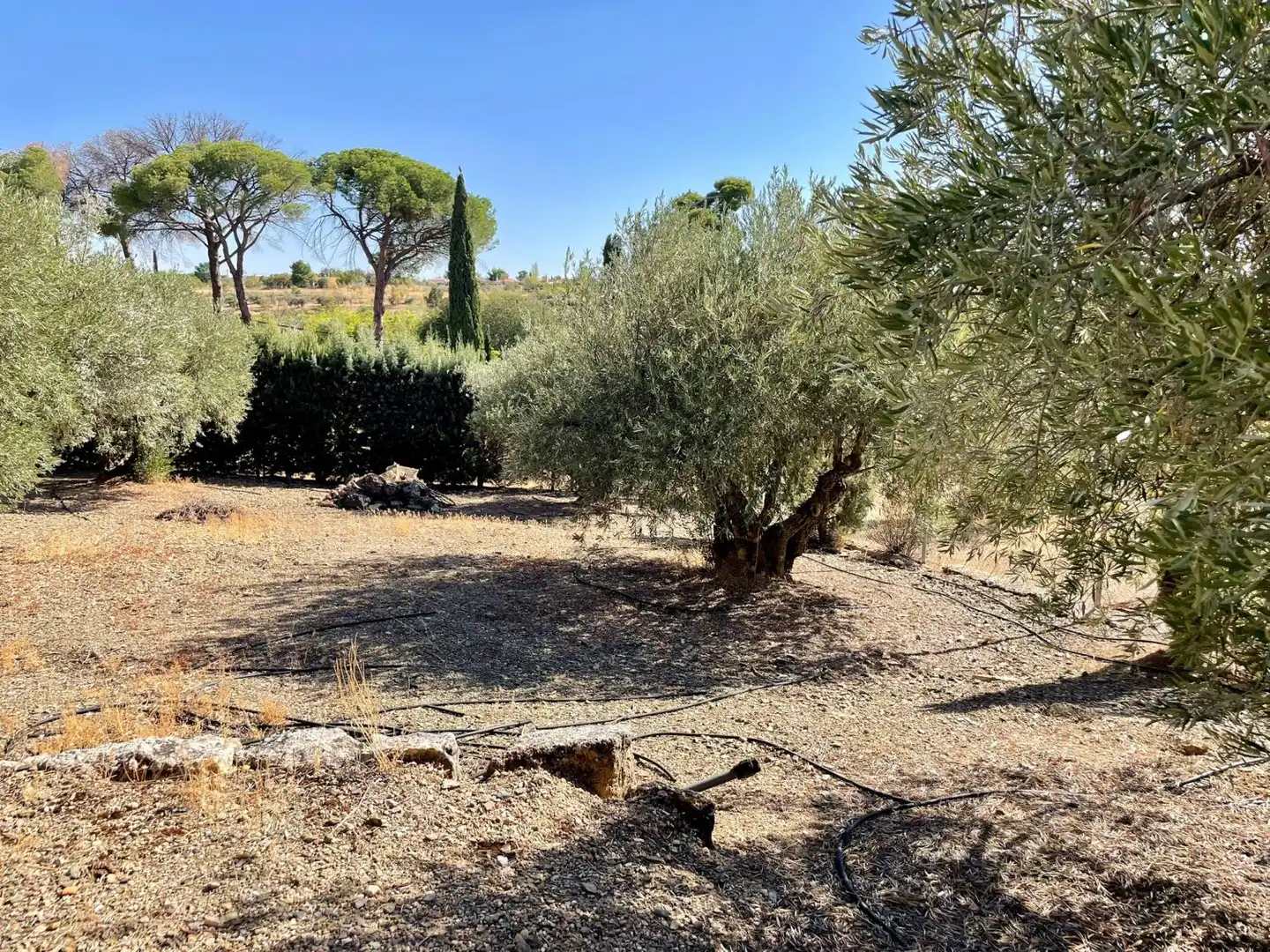 Country homes for sale in Valdepeñas