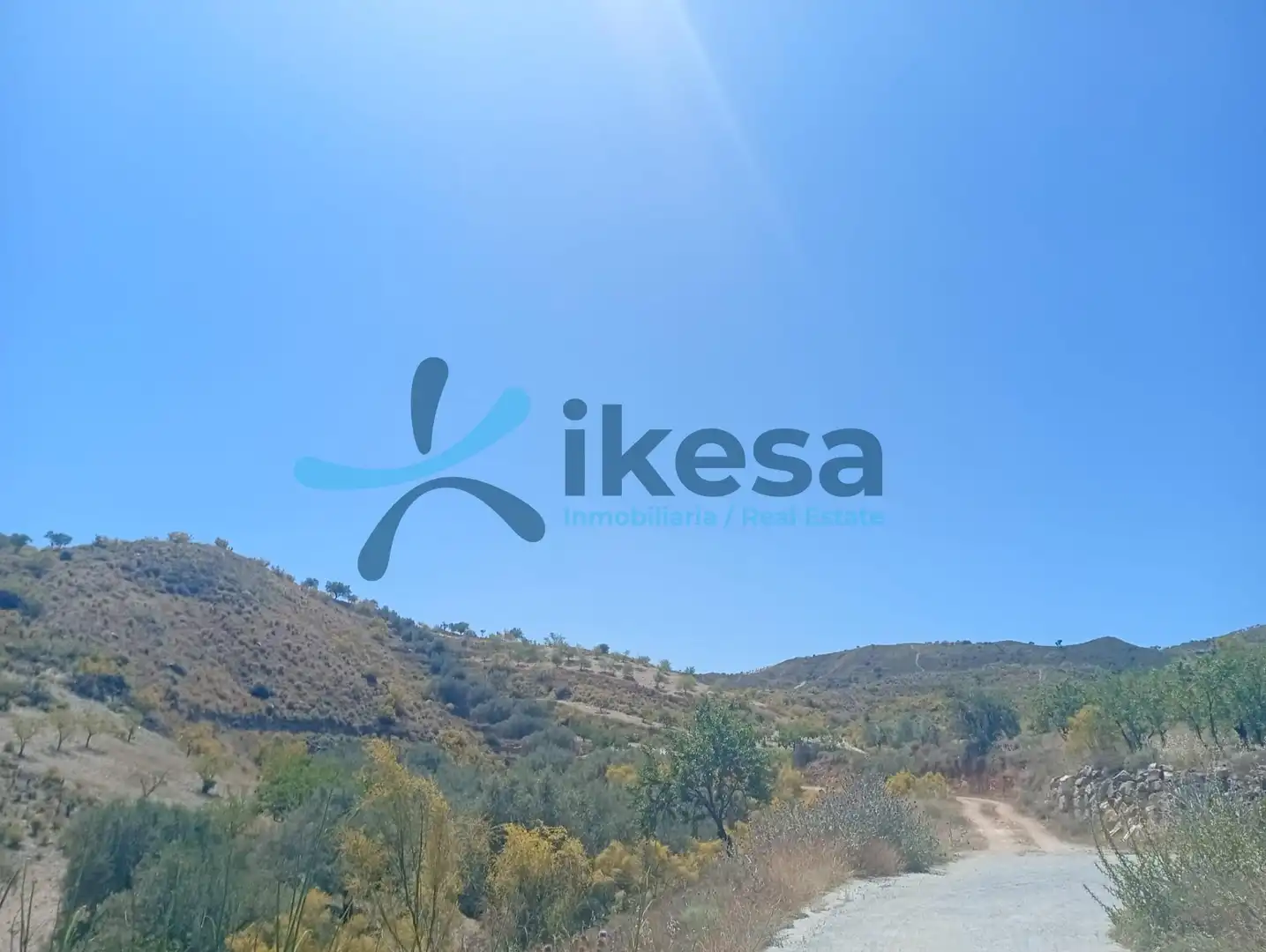 Lands and plots for sale in Cantoria, imagen 10