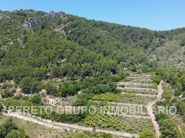 Terreno residencial en venta en Oliva pueblo
