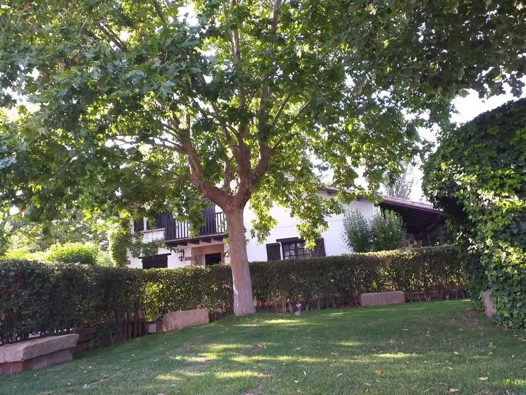Garden of Land for sale in Tudela