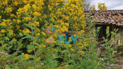 Foto 5 de Casa o chalet en venta en Amoeiro, Ourense