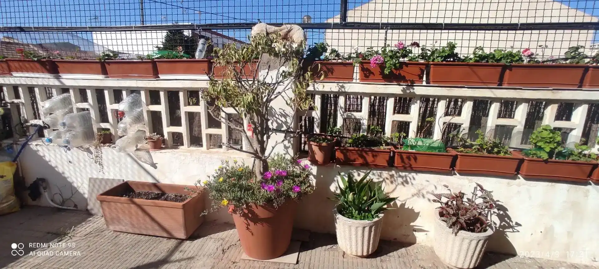 Terrassa de Planta baixa en venda en Mar Menor de Cartagena – Cabo de Palos