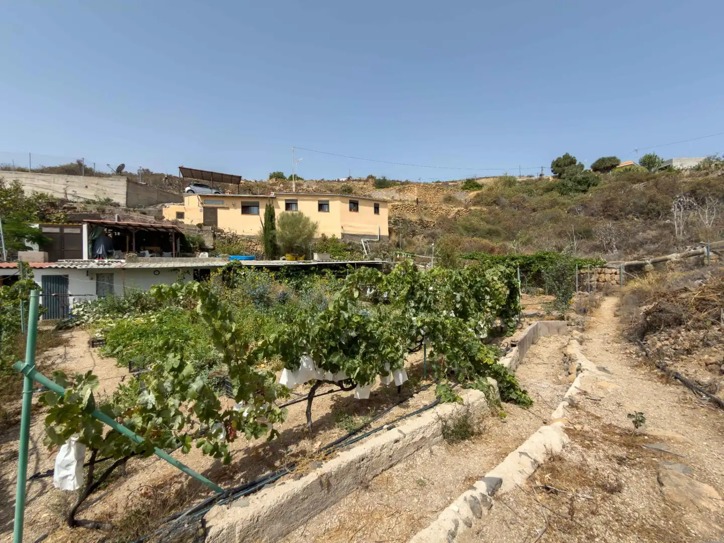 Jardí de Finca rústica en venda en Güímar