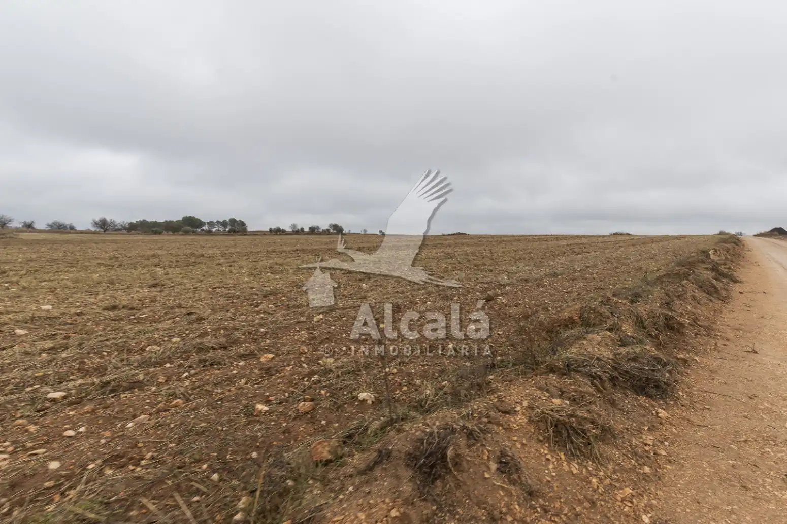 Rural land for sale in Pezuela de las Torres, imagen 20