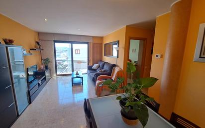 Living room of Flat for sale in Santa Margarida de Montbui  with Balcony