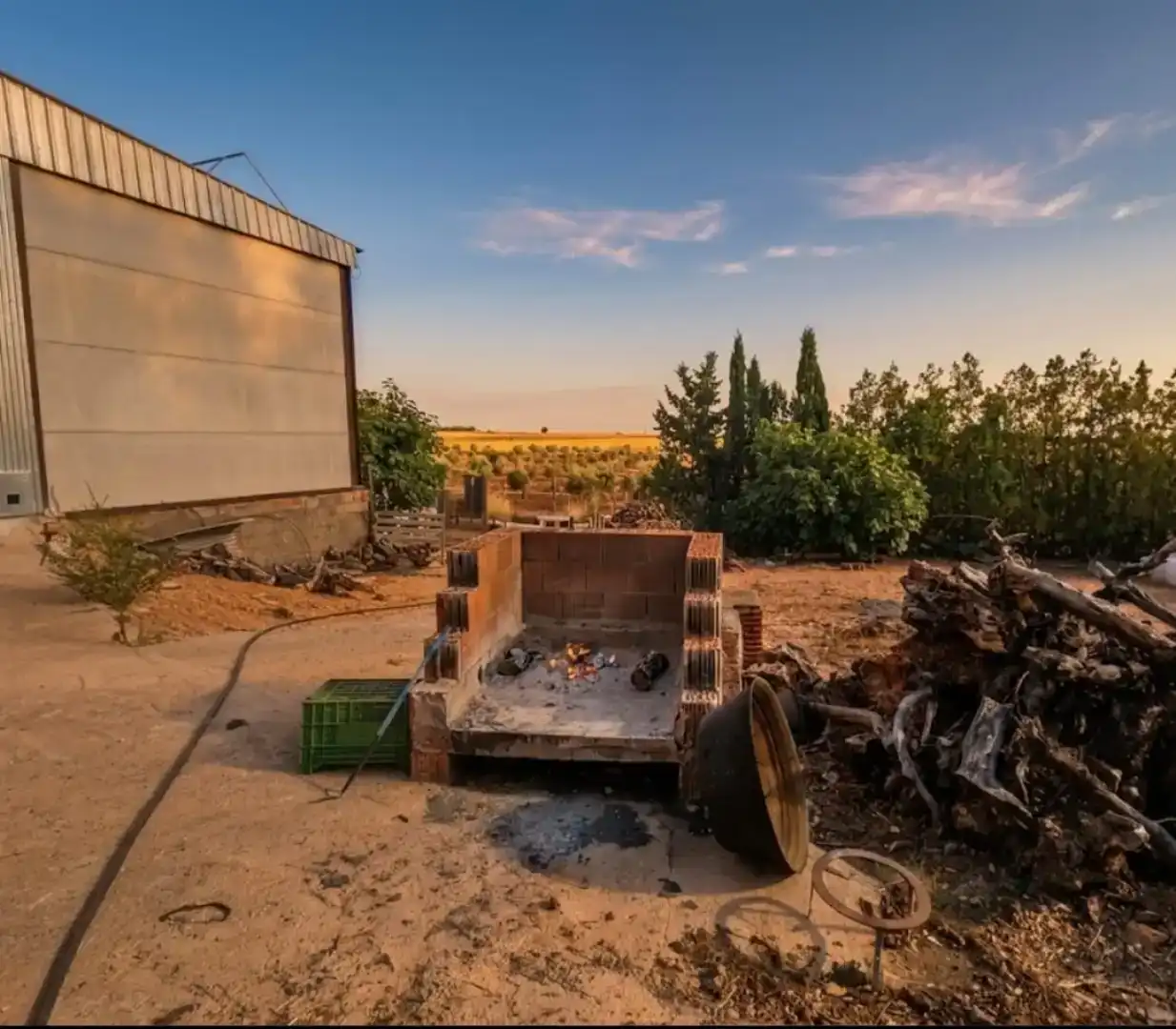 Vista exterior de Finca rústica en venda en Villanueva de los Infantes (Ciudad Real) amb Moblat i TV