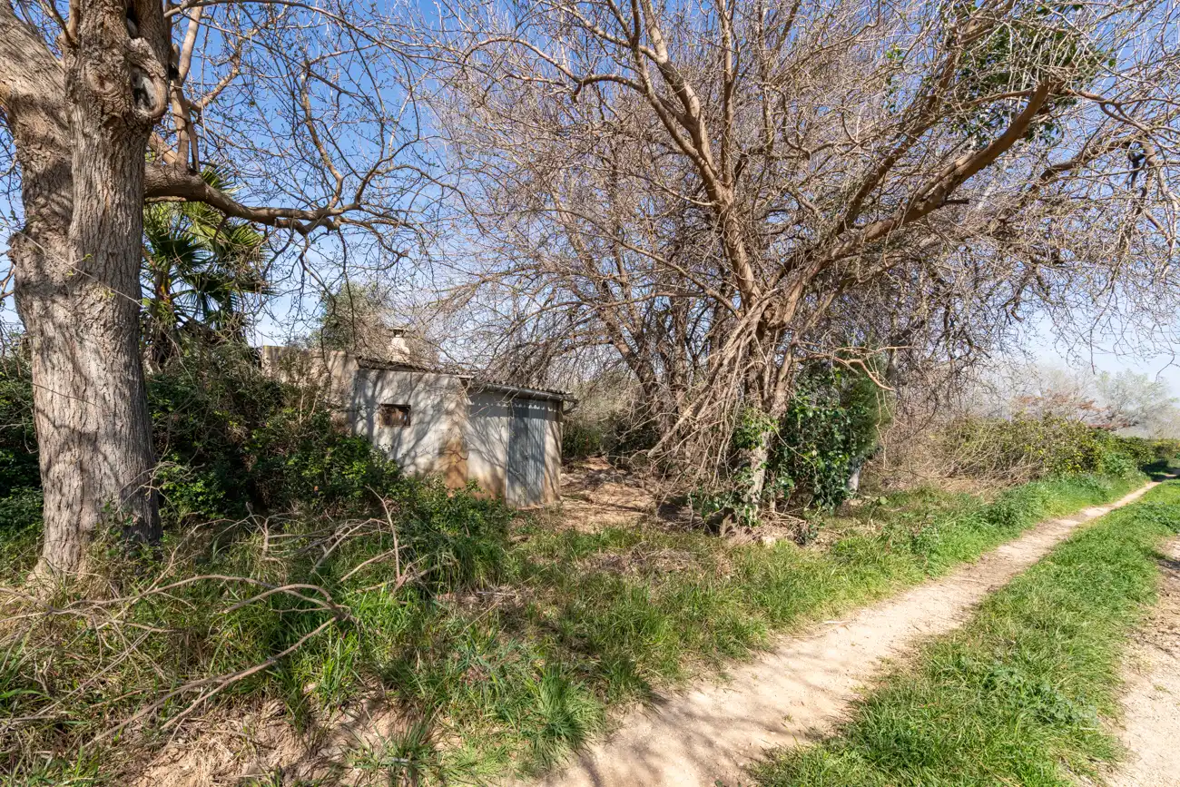 Rural land for sale in Vinallop, imagen 5