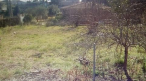 PARCELA DE 589M2 EN URB.VALLCANERA DE SILS, imatge 5