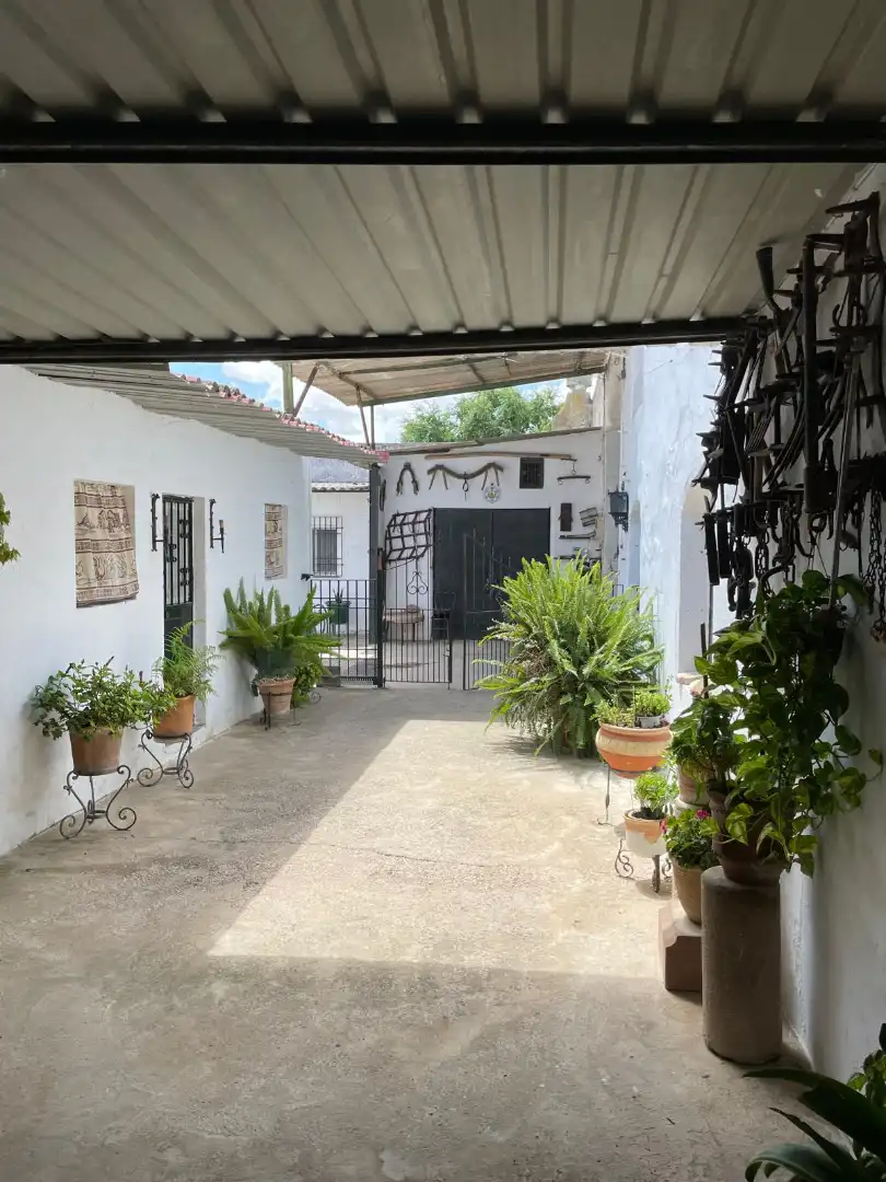 Villa avec piscine à vendre à CH-2 304, imagen 27