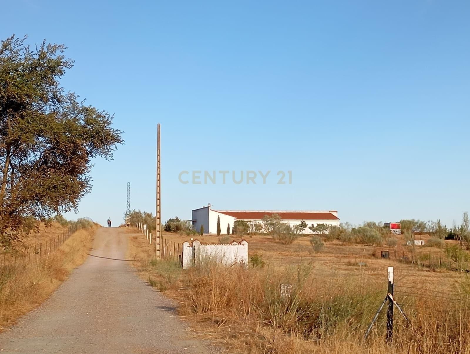 Vista exterior de Casa o chalet en venta en Cáceres Capital con Trastero, Piscina y Lavadora