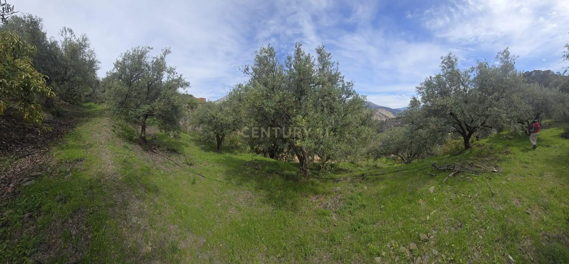 Terreno rustico in vendita a Polígono 11 Parcela 307 EL CERRILLAR. LOS GUAJARES (GRANADA)
