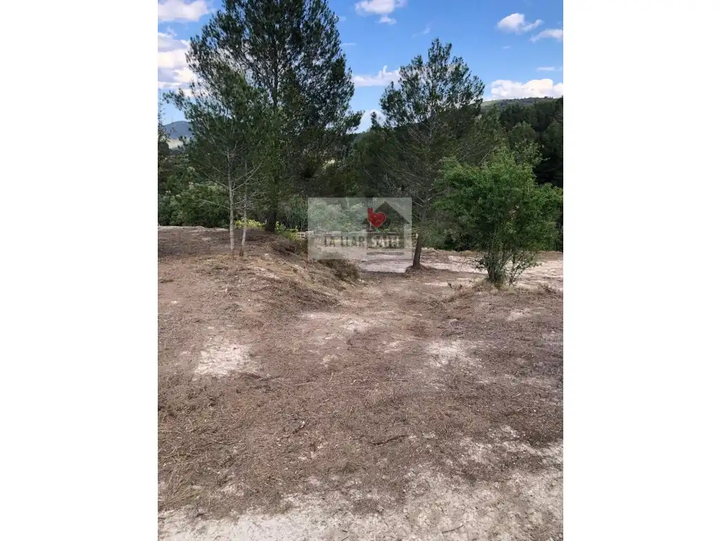 Terreny residencial en venda a Poligono Numero 16, imagen 15