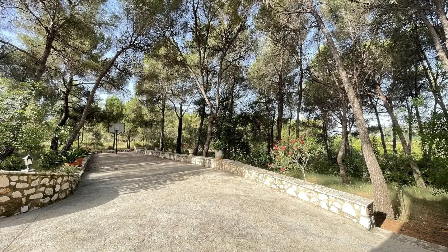 Jardín de Finca rústica en venta en Carcaixent con Jardín privado, Terraza y Trastero
