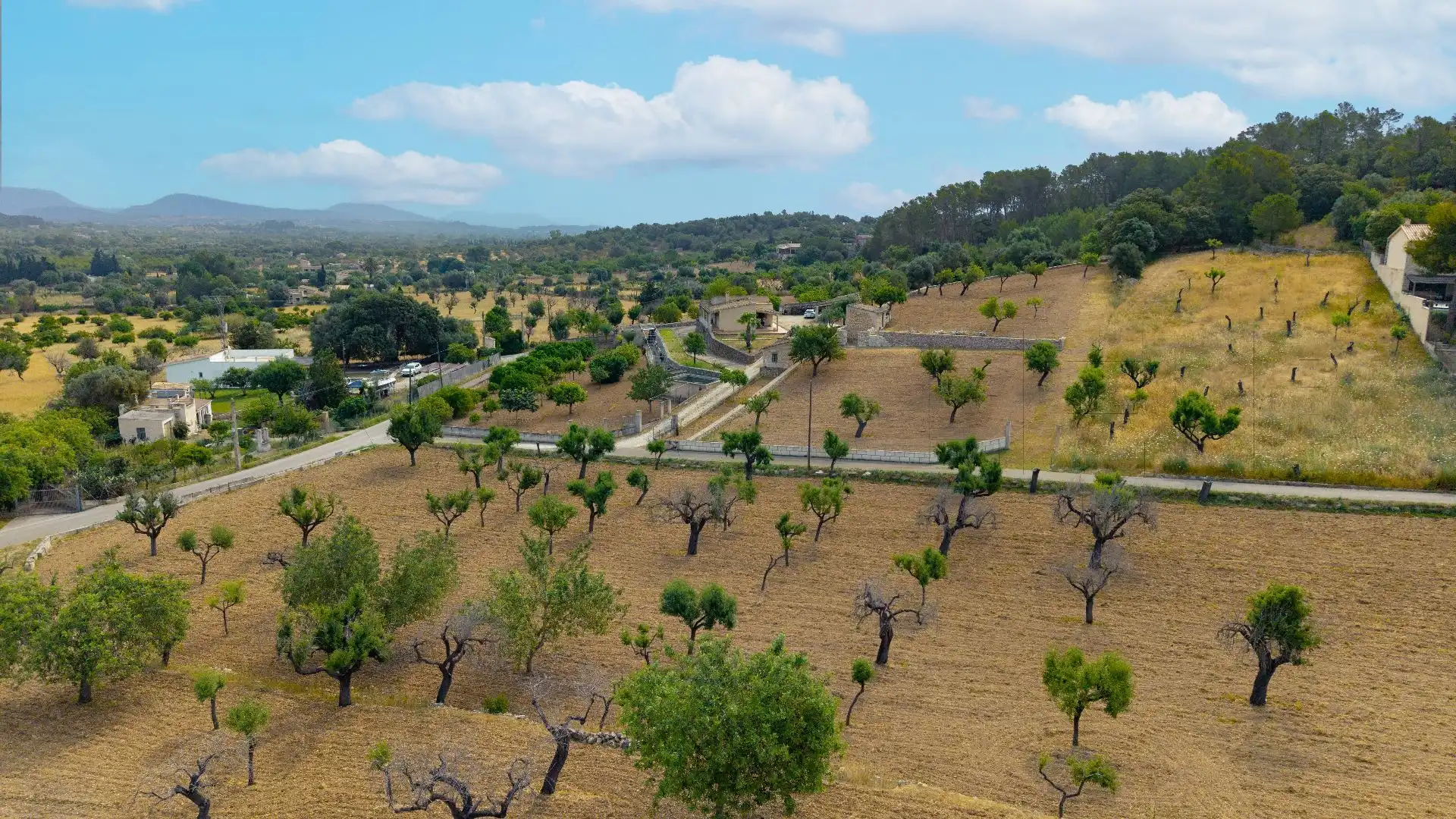 Casa o chalet en venta en Selva con Terraza y Piscina
