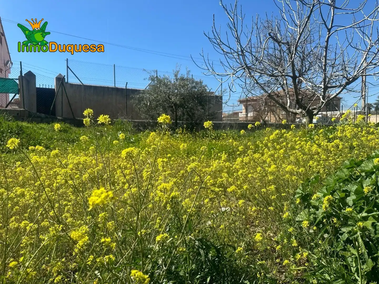 Terreni e lotti in vendita a Ogíjares, imagen 14